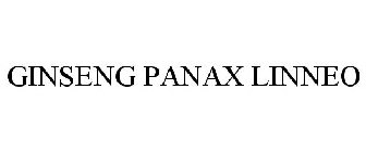 GINSENG PANAX LINNEO