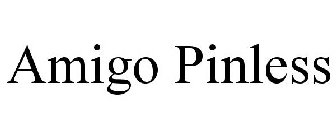 AMIGO PINLESS
