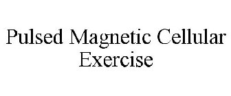 PULSED MAGNETIC CELLULAR EXERCISE