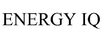 ENERGY IQ