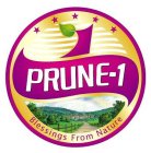 PRUNE-1 BLESSING FROM NATURE