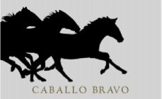 CABALLO BRAVO