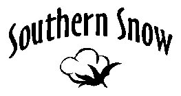 SOUTHERN SNOW