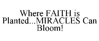WHERE FAITH IS PLANTED...MIRACLES CAN BLOOM!