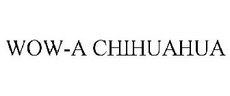 WOW-A CHIHUAHUA