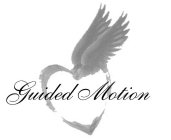 GUIDED MOTION