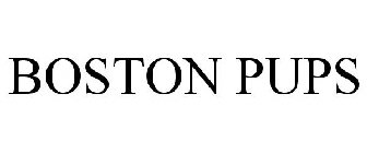 BOSTON PUPS