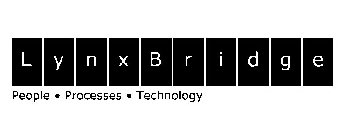 LYNXBRIDGE PEOPLE · PROCESSES · TECHNOLOGY