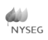 NYSEG