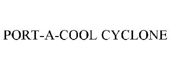 PORT-A-COOL CYCLONE