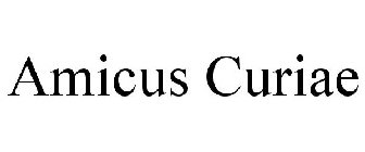 AMICUS CURIAE