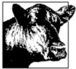 Image Trademark