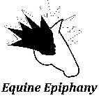 EQUINE EPIPHANY