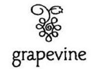 GRAPEVINE