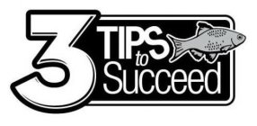 3 TIPS TO SUCCEED