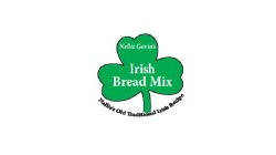 NELLIE GAVIN'S IRISH BREAD MIX NELLIE'S OLD TRADITIONAL IRISH RECIPE