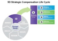 5D STRATEGIC COMPENSATION LIFE CYCLE STRATEGIC DESIGN 5D RISK ASSESSMENT EXECUTE MEASURE ANALYZE IMPROVE 1 DEVELOPING A COMPENSATION STRATEGY 2 DESIGNING A COMPENSATION PLAN 3 DETERMINING COMPENSATION