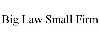 BIG LAW SMALL FIRM