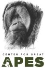 CENTER FOR GREAT APES