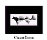 COASTAL COTTON