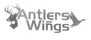 ANTLERS AND WINGS