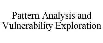 PATTERN ANALYSIS AND VULNERABILITY EXPLORATION