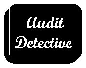 AUDIT DETECTIVE