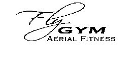 FLY GYM AERIAL FITNESS