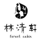 FOREST CABIN