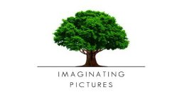 IMAGINATING PICTURES