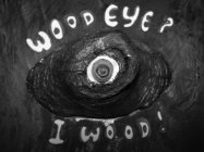 WOOD EYE? I WOOD!