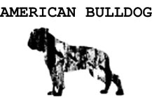 AMERICAN BULLDOG