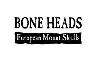 BONE HEADS EUROPEAN MOUNT SKULLS