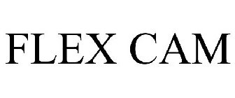 FLEX CAM