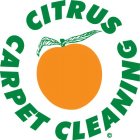 CITRUS CARPET CLEANING