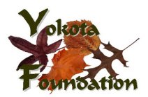 YOKOTA FOUNDATION