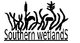 SOUTHERN WETLANDS