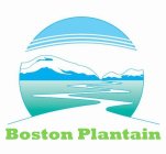 BOSTON PLANTAIN