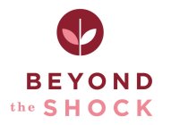 BEYOND THE SHOCK