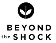 BEYOND THE SHOCK