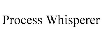 PROCESS WHISPERER
