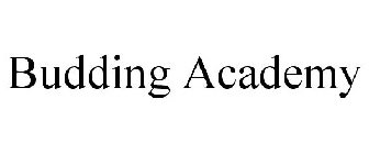 BUDDING ACADEMY