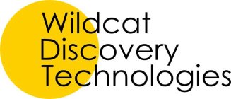 WILDCAT DISCOVERY TECHNOLOGIES