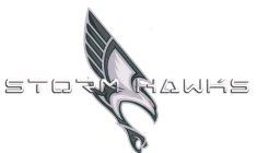 STORM HAWKS