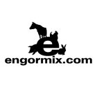 E ENGORMIX.COM