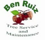 BEN RUIZ, TREE SERVICE AND MAINTENANCE