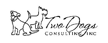 TWO DOGS CONSULTING INC