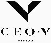 V CEO · V VISION