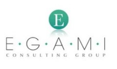 E E  G  A  M  I CONSULTING GROUP