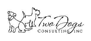 TWO DOGS CONSULTING INC